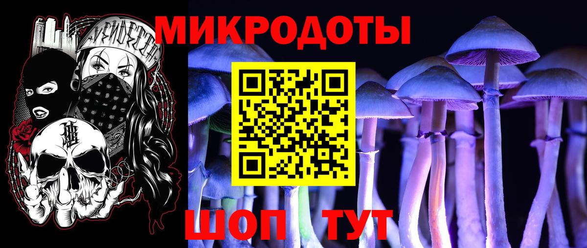 Галлюциногенные грибы Psilocybe  Вход с VPN  Кемерово  Псилоцибиновые грибы GOLDEN TEACHER 